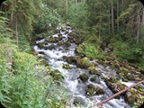 DSCF3798