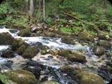 DSCF3799