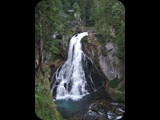 DSCF3806