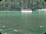DSCF4054