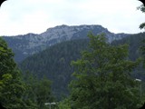 DSCF4061
