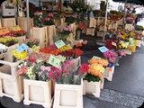 DSCF3919