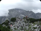 DSCF4030