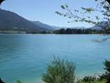DSCF4171