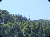 DSCF4175