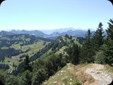 DSCF4226