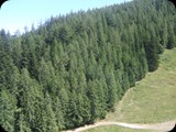 DSCF4240