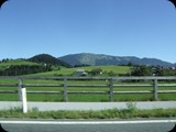 DSCF4113