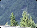 DSCF4098