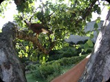 DSCF4104