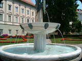 HPIM3651