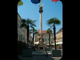 HPIM3667