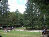 DSCF6361