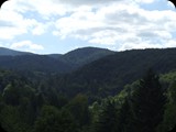 DSCF6362
