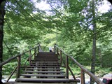 DSCF6363