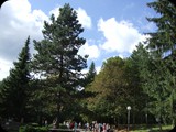 DSCF6378