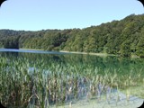 DSCF6383