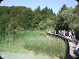 DSCF6384