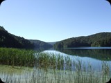 DSCF6385