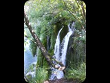 DSCF6389