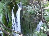 DSCF6390
