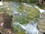 DSCF6391