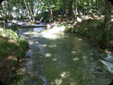 DSCF6392