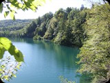 DSCF6393