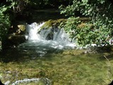 DSCF6394