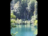 DSCF6399