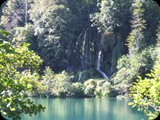 DSCF6400