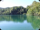 DSCF6401