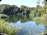DSCF6402