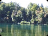 DSCF6403