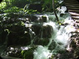 DSCF6404