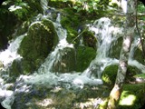 DSCF6405