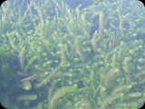 DSCF6407