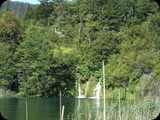 DSCF6408