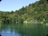 DSCF6409