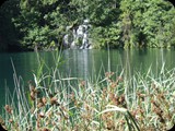 DSCF6411