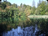 DSCF6412
