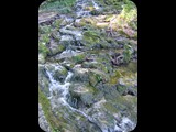 DSCF6413