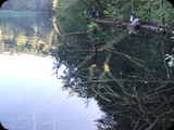 DSCF6419