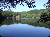 DSCF6420