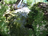 DSCF6423