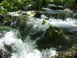 DSCF6429
