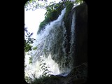 DSCF6431