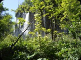 DSCF6433