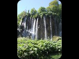 DSCF6436