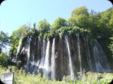 DSCF6437